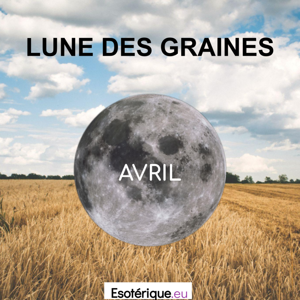 La Graine Les Particules Et La Lune Lune des Graines - Pleine Lune 27 Avril 2021 - Esoterique.eu