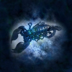 Signe astrologique Scorpion - Esoterique_eu