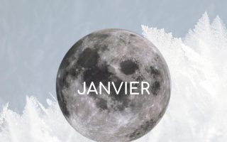 Lune du loup Janvier - Esoterique_eu