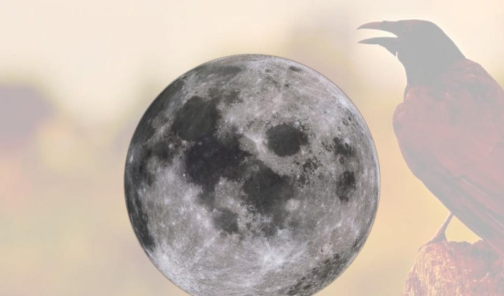 Pleine-Lune-Lune-Chaste-Esoterique_eu-11