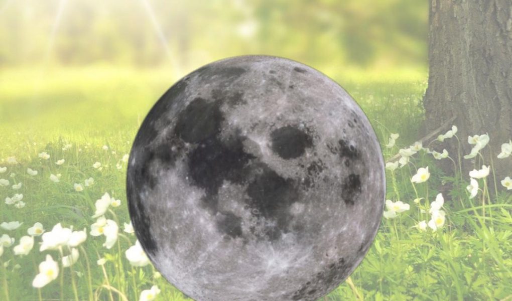 Pleine-Lune-Juillet-2021-Lune-de-Fête-Esoterique_eu-7