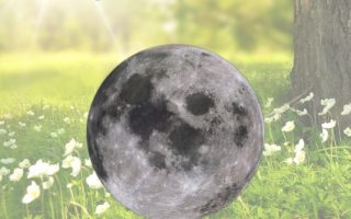 Pleine-Lune-Juillet-2021-Lune-de-Fête-Esoterique_eu-7