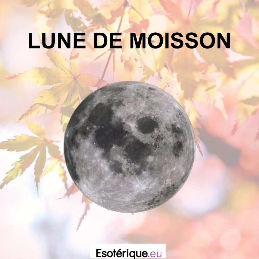 Pleine-Lune-Lune-de-Moisson-Esoterique_eu-4