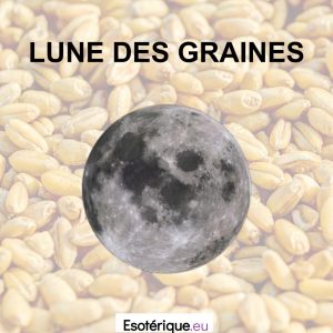 Pleine-Lune-Lune-des-Graines-Esoterique_eu-10