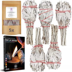 Sauge-blanche-de-Californie-Encens-Esoterique_eu