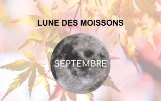 Lune des Moissons - Pleine lune septembre 2021 - Esoterique_eu