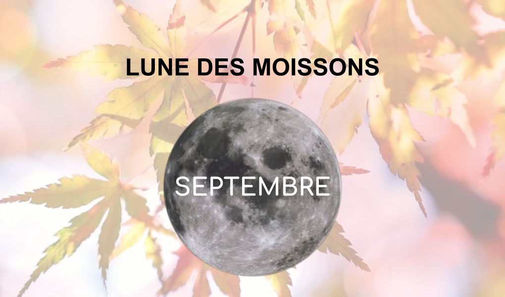 Lune des Moissons - Pleine lune septembre 2021 - Esoterique_eu
