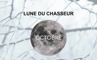 Lune du Chasseur - Pleine lune Octobre 2021 - Esoterique_eu