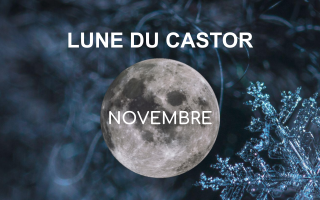 Pleine lune Novembre 2021 – Lune du Castor