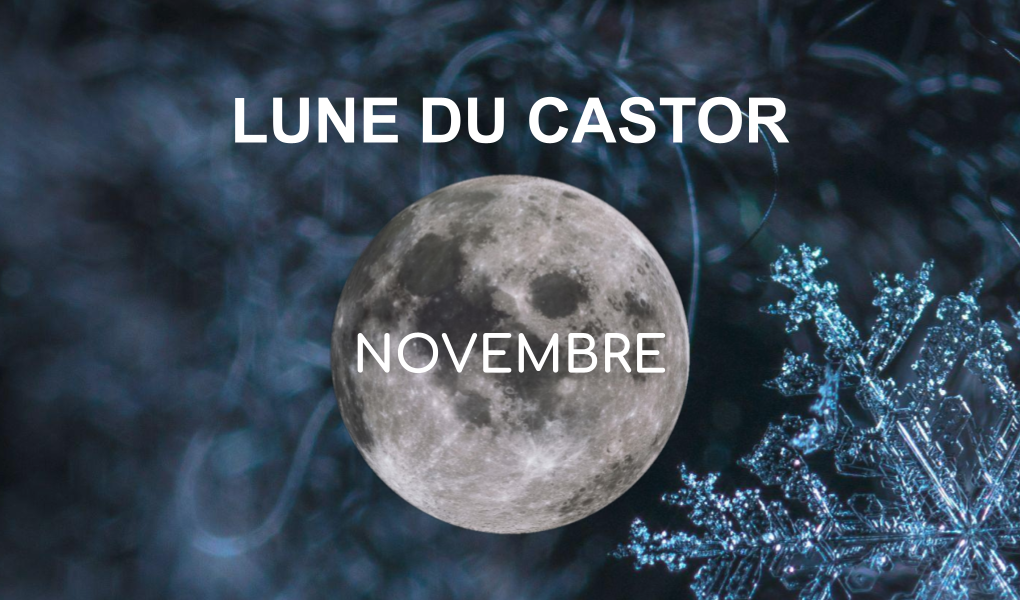 Pleine lune Novembre 2021 – Lune du Castor