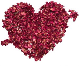 Pétales-de-Rose-Séchés-Esoterique_eu