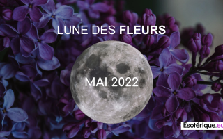 Pleine lune mai 2022 - Lune des Fleurs