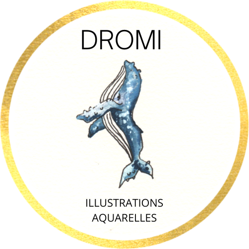 DROMI-1