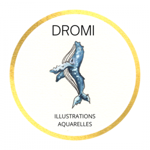 Dromi
