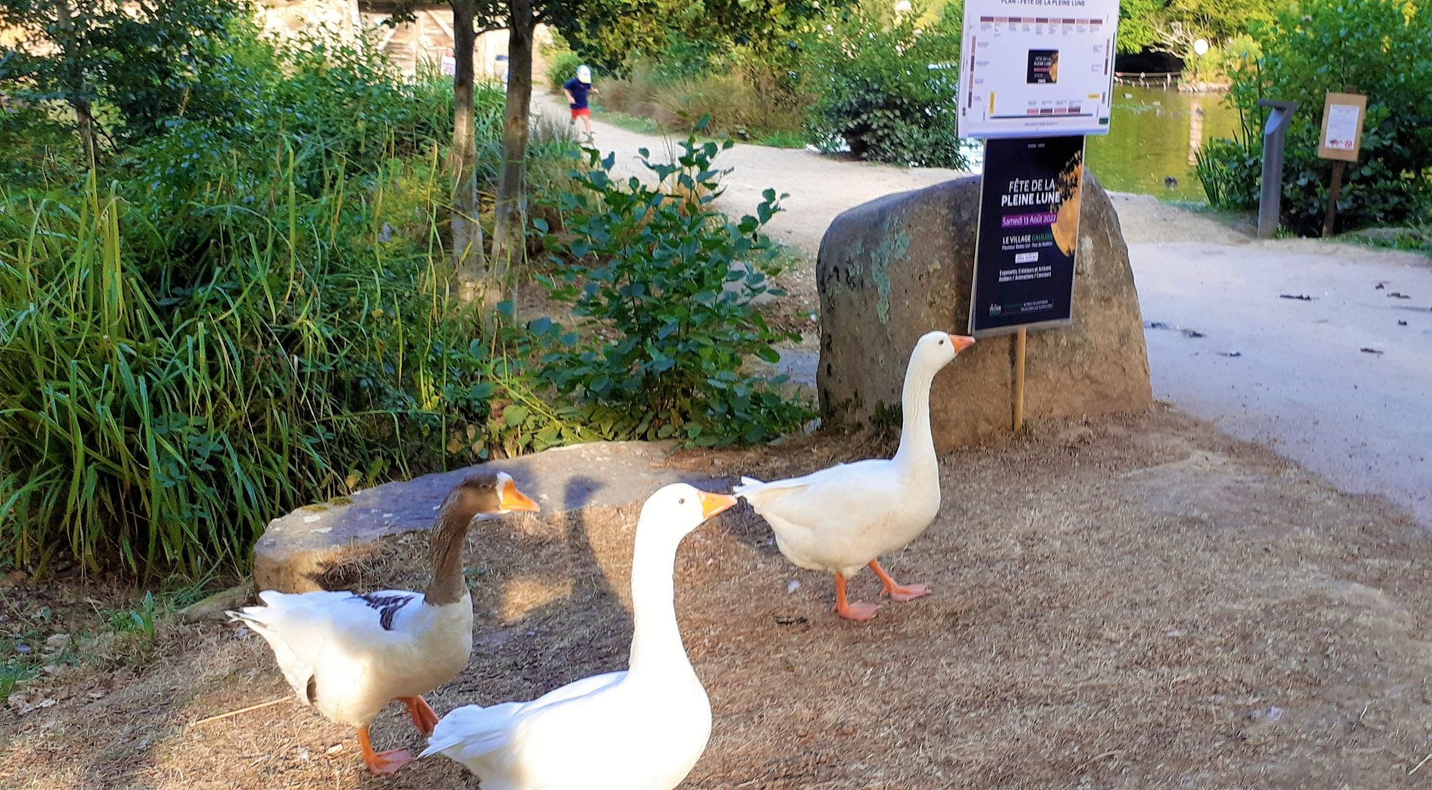 Fete-de-la-Pleine-Lune-2022-Pleumeur-Bodou-45-1