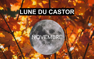Pleine lune novembre 2022 - Lune du Castor