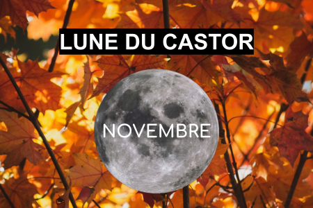 Pleine lune novembre 2022 - Lune du Castor