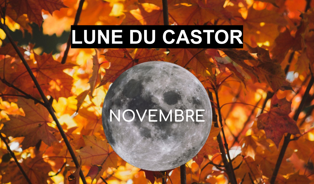 Pleine lune novembre 2022 - Lune du Castor