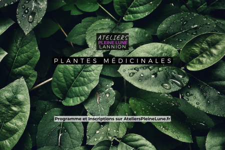 Atelier Plantes médicinales - Lannion Côtes d'Armor Bretagne - Ateliers Pleine Lune