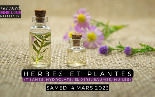 Ateliers Pleine Lune - Lannion - Herbes et plantes médicinales