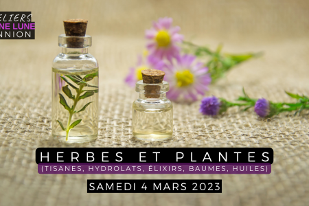Ateliers Pleine Lune - Lannion - Herbes et plantes médicinales