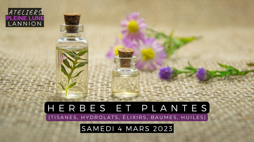 Herbes et plantes médicinales - Ateliers Pleine Lune - Lannion - 4 mars 2023