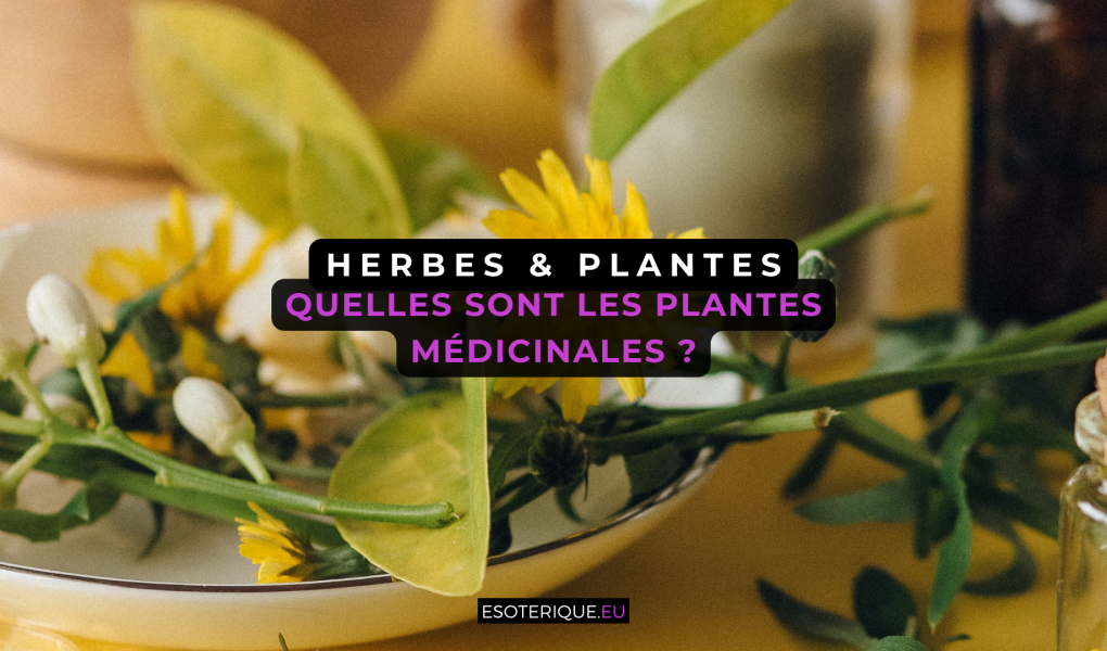 quel sont les plantes médicinal ?