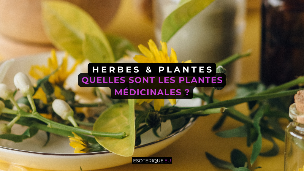 Quelles sont les plantes médicinales ? - Esoterique