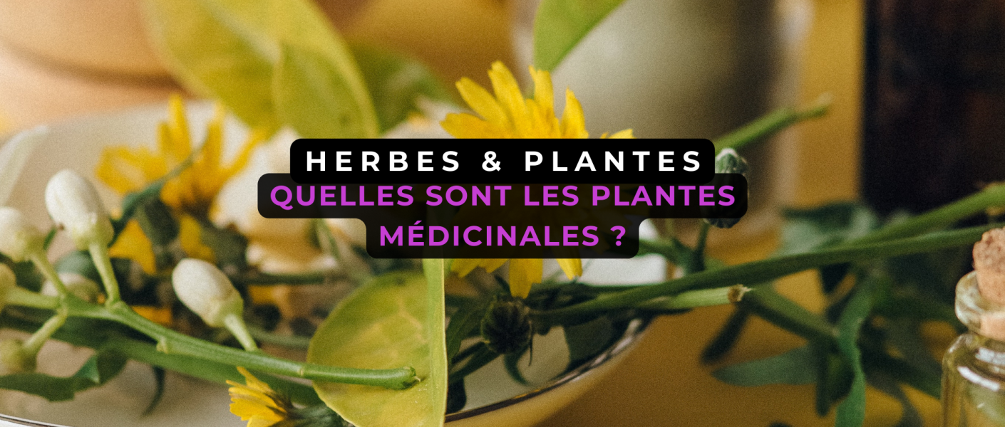 quel sont les plantes médicinal ?