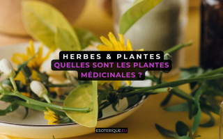 quel sont les plantes médicinal ?