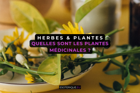 quel sont les plantes médicinal ?