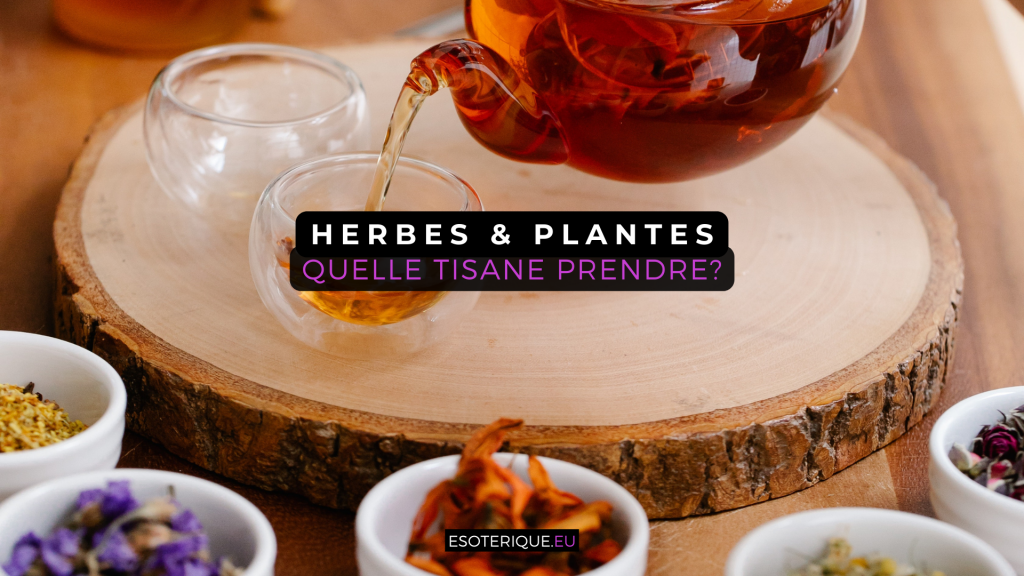 Quelle tisane prendre