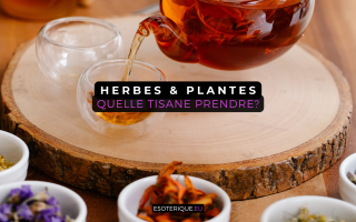 Quelle tisane prendre