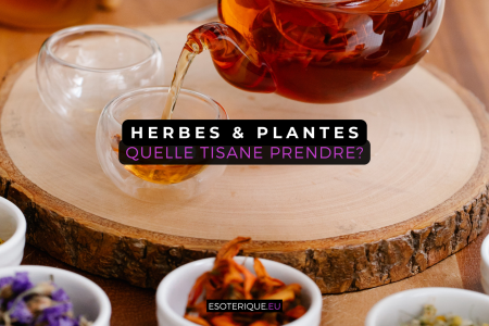 Quelle tisane prendre
