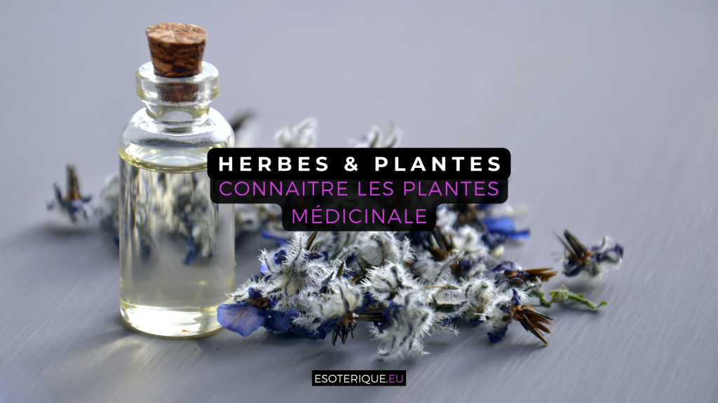 connaitre les plantes médicinale