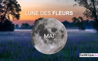 Pleine Lune Avril 2023 - Lune des Fleurs