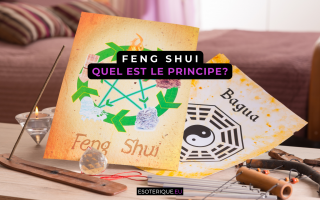 Quel est le principe du Feng Shui ?