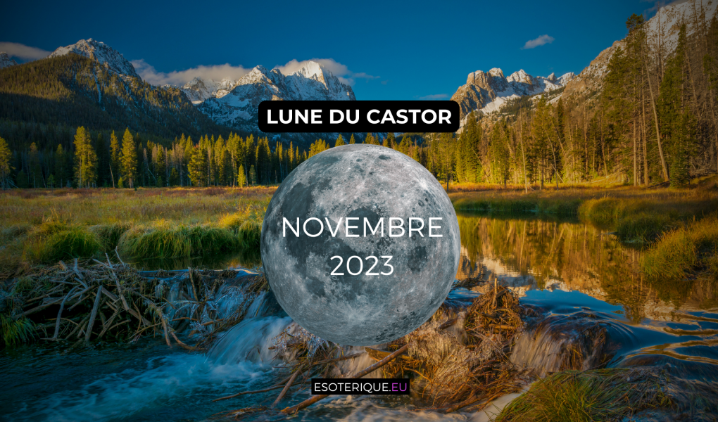 Pleine lune Novembre 2023 - Lune du Castor