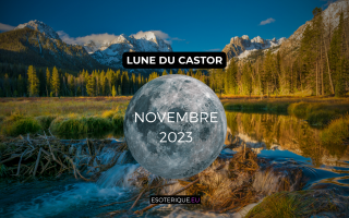 Pleine lune Novembre 2023 - Lune du Castor