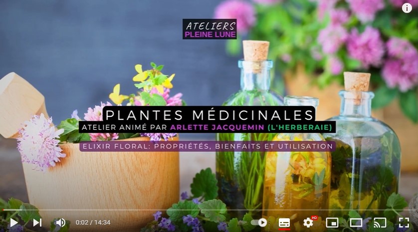 Atelier Plante medicinale - Elixir floral - Ateliers Pleine Lune Lannion - L'Herberaie