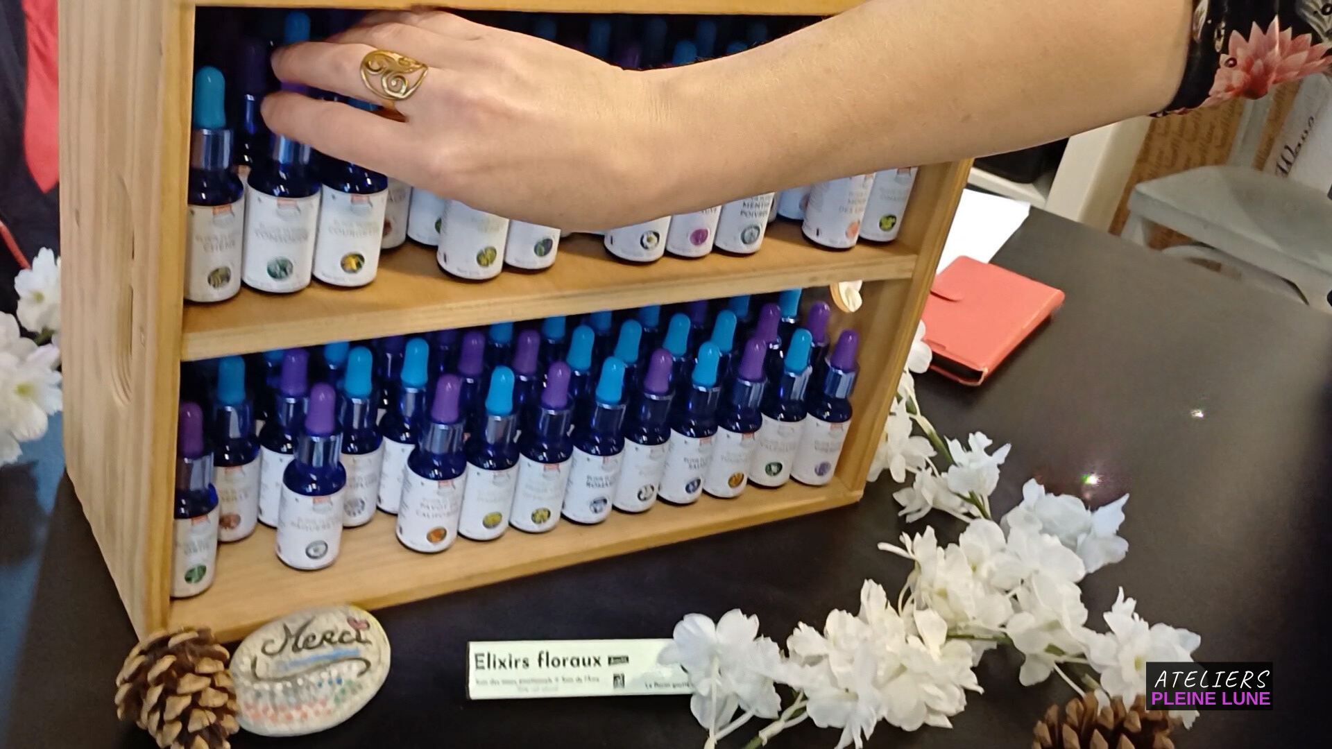 Ateliers Pleine Lune - L-Herberaie - Lannion - Plante médicinale - elixir floral - Reportage - arlette jacquemin