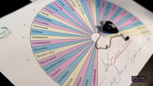 Ateliers Pleine Lune - Lannion - Plante médicinale - elixir floral