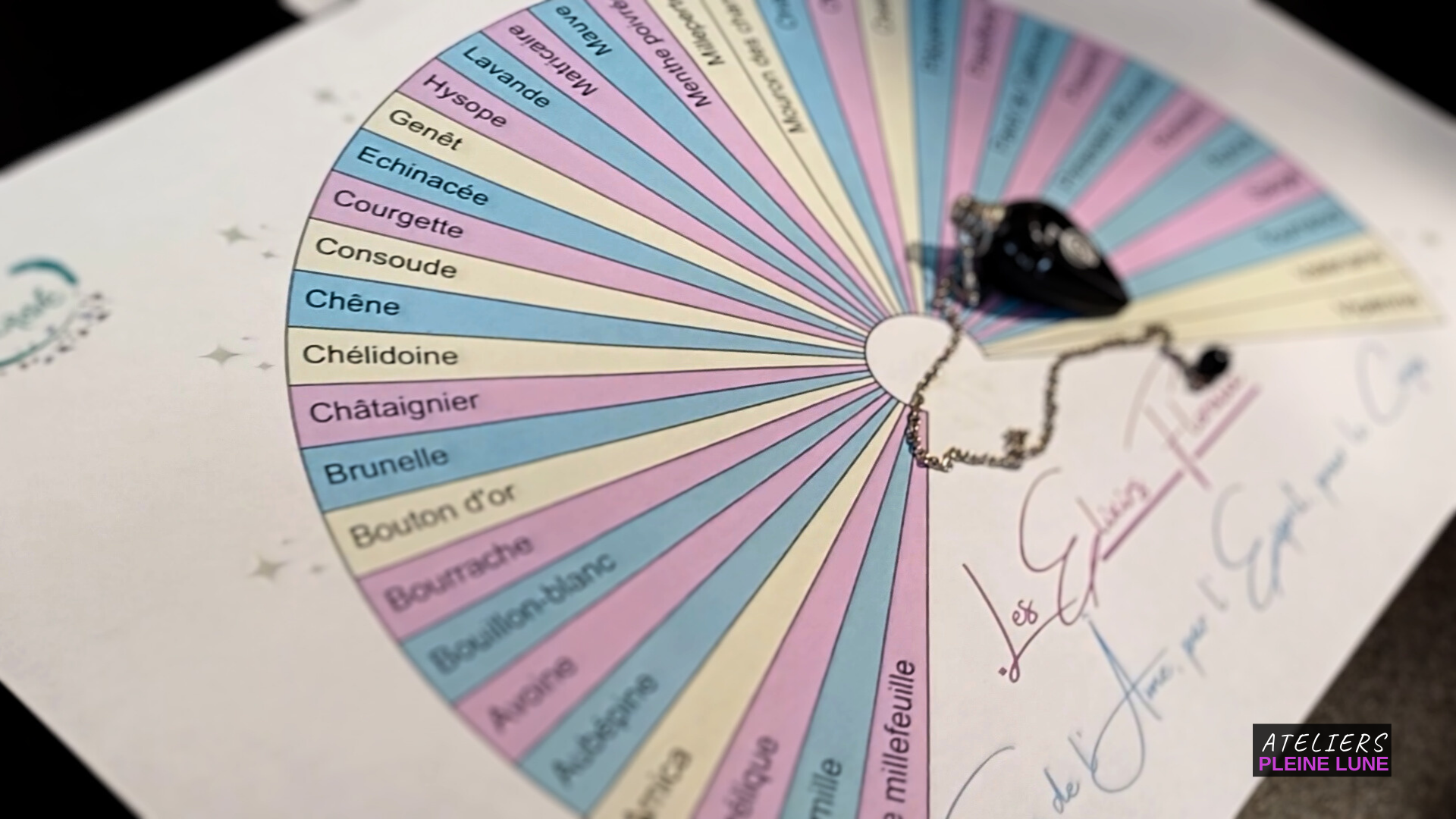 Ateliers Pleine Lune - Lannion - Plante médicinale - elixir floral