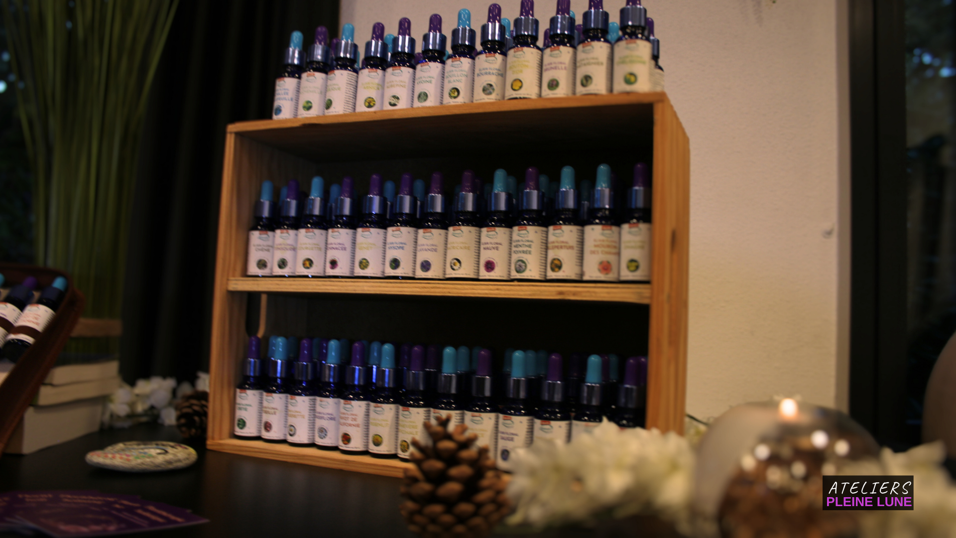 Ateliers Pleine Lune - L-Herberaie - Lannion - Plante médicinale - elixir floral - Reportage - arlette jacquemin