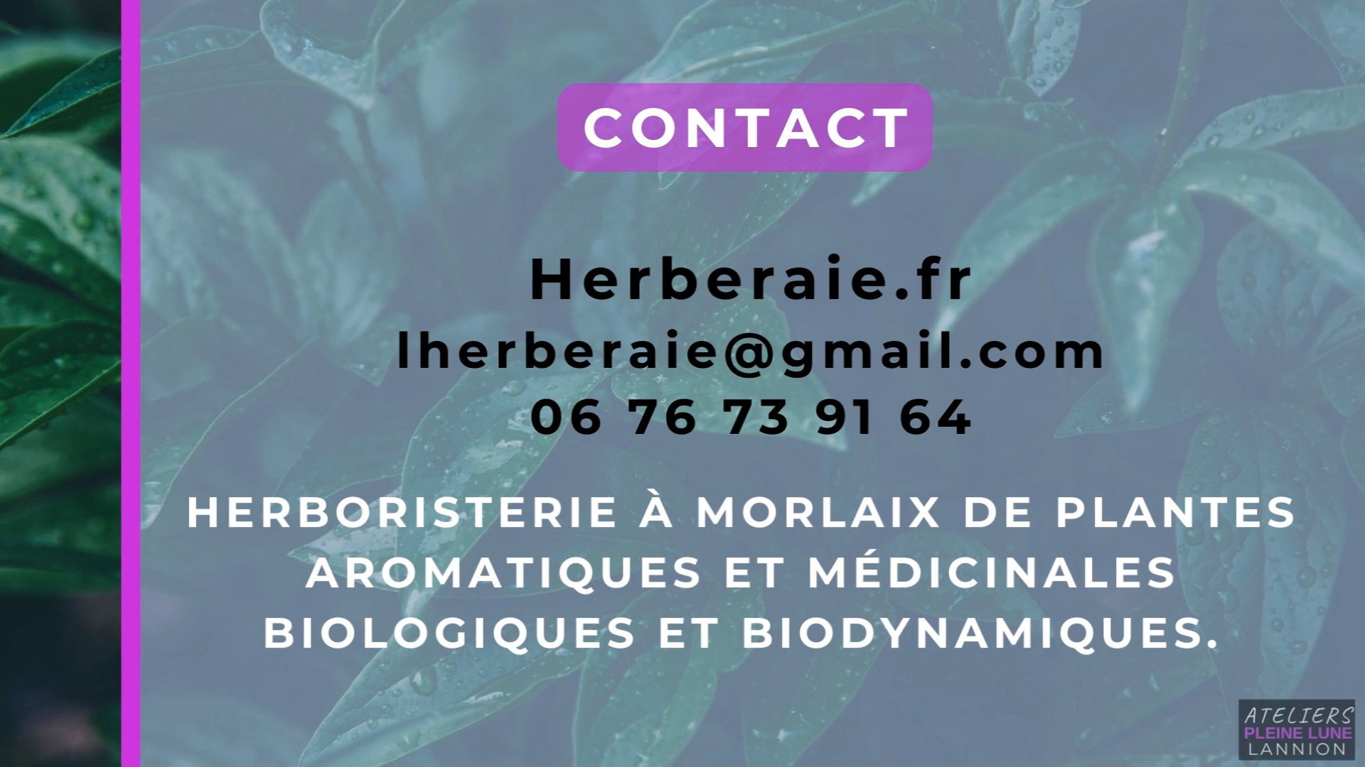 Ateliers Pleine Lune - L-Herberaie - Lannion - Plante médicinale - elixir floral - Reportage - Plouigneau - Finistere