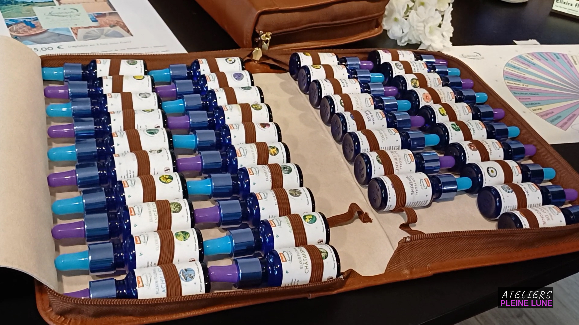 Ateliers Pleine Lune - L-Herberaie - Lannion - Plante médicinale - elixir floral - Reportage - arlette jacquemin