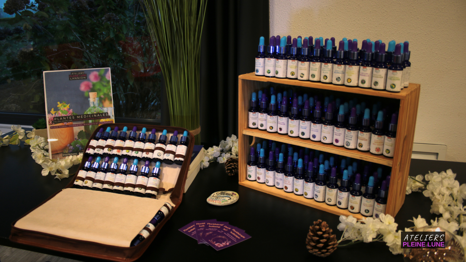 Ateliers Pleine Lune - L-Herberaie - Lannion - Plante médicinale - elixir floral - Reportage - arlette jacquemin