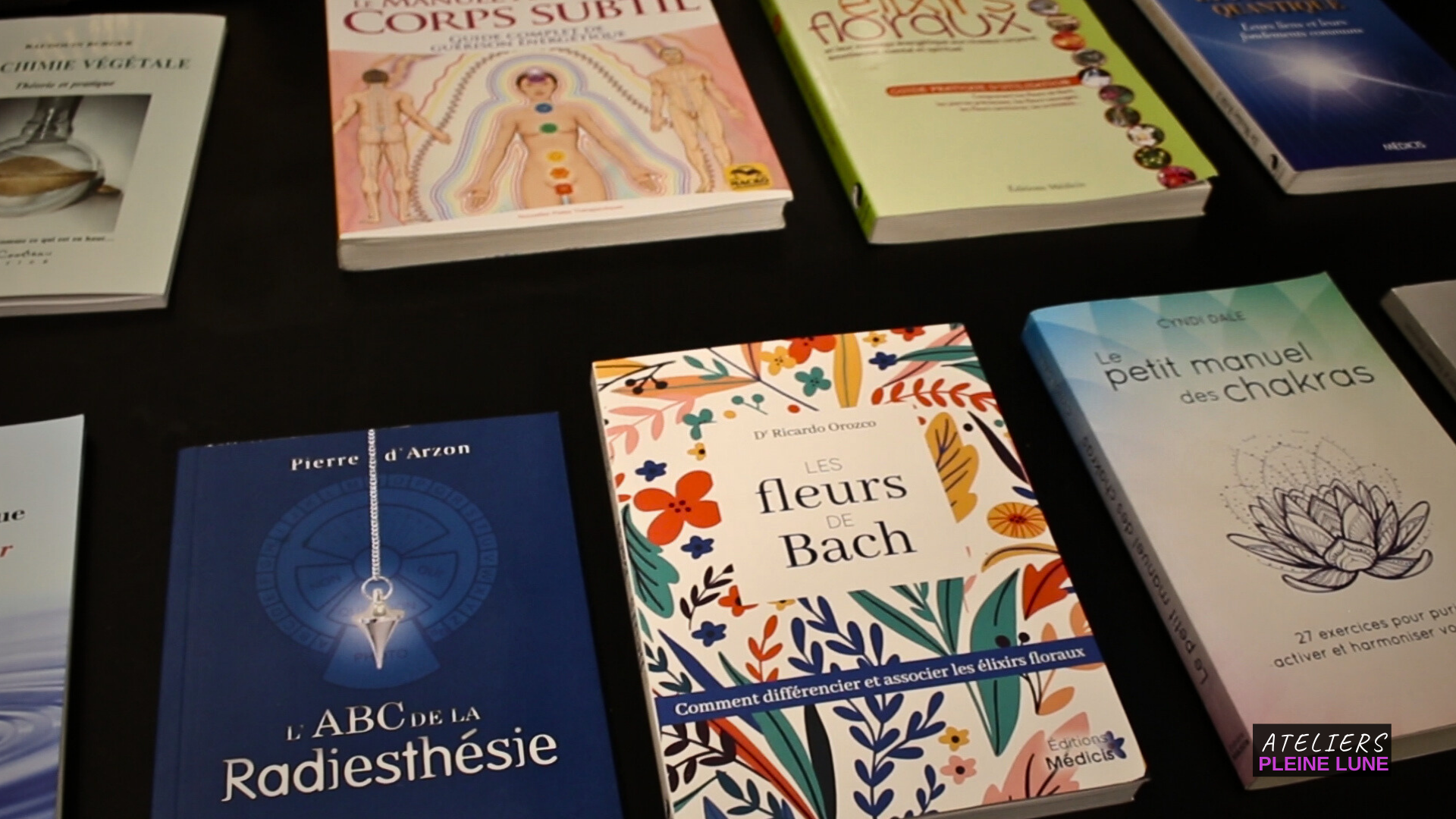 Ateliers Pleine Lune - L-Herberaie - Lannion - Plante médicinale - elixir floral - Reportage - arlette jacquemin