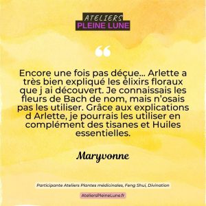 Avis Ateliers Pleine Lune Lannion (2)