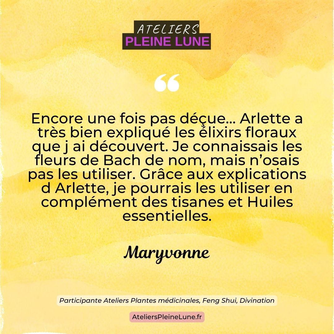 Avis Ateliers Pleine Lune Lannion (2)